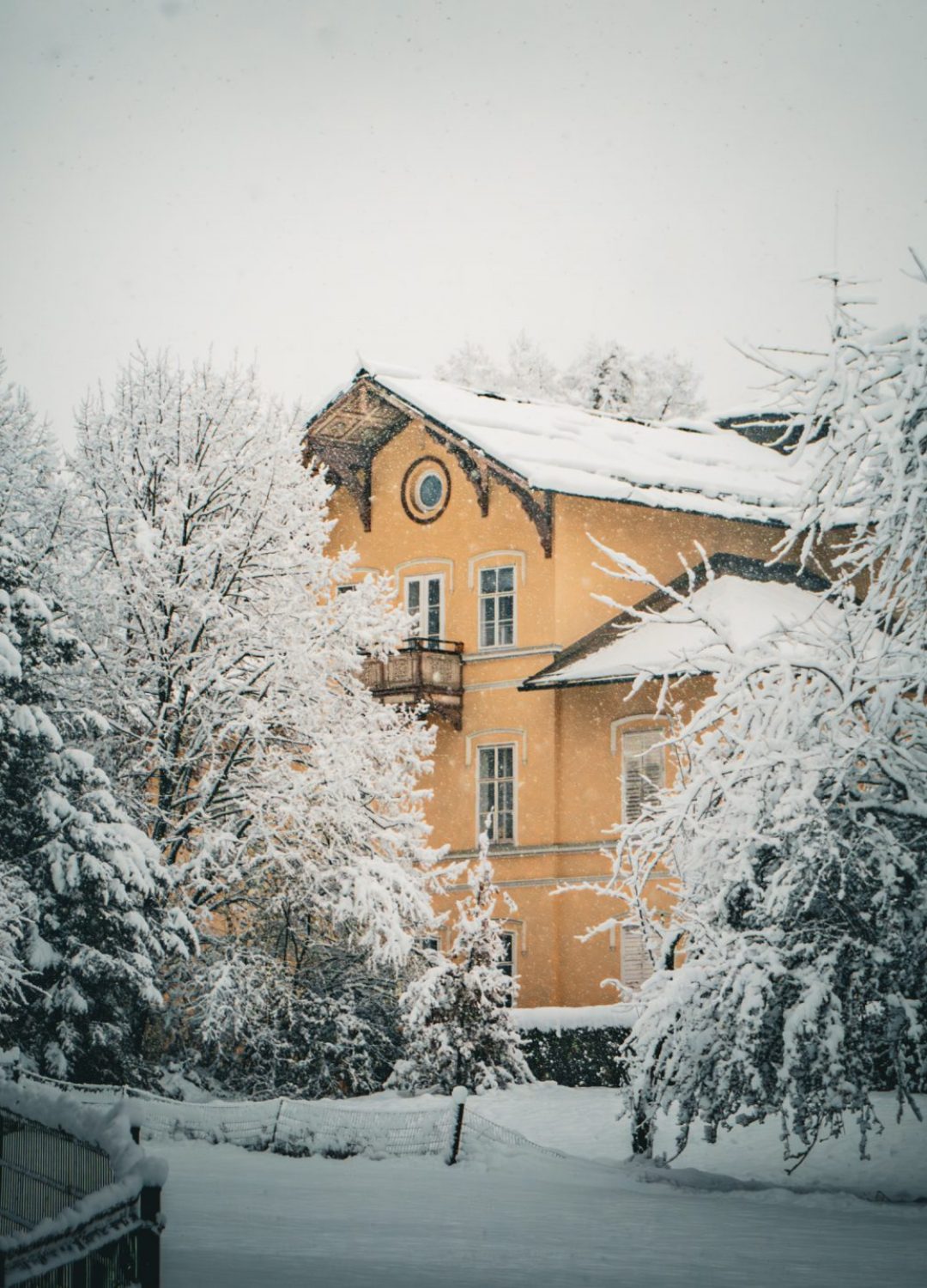 Identitätfotografie-TAichhorn-10